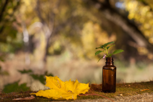 טיפול עדין וטבעי לילד - מה כדאי לדעת על פרחי באך לילדים